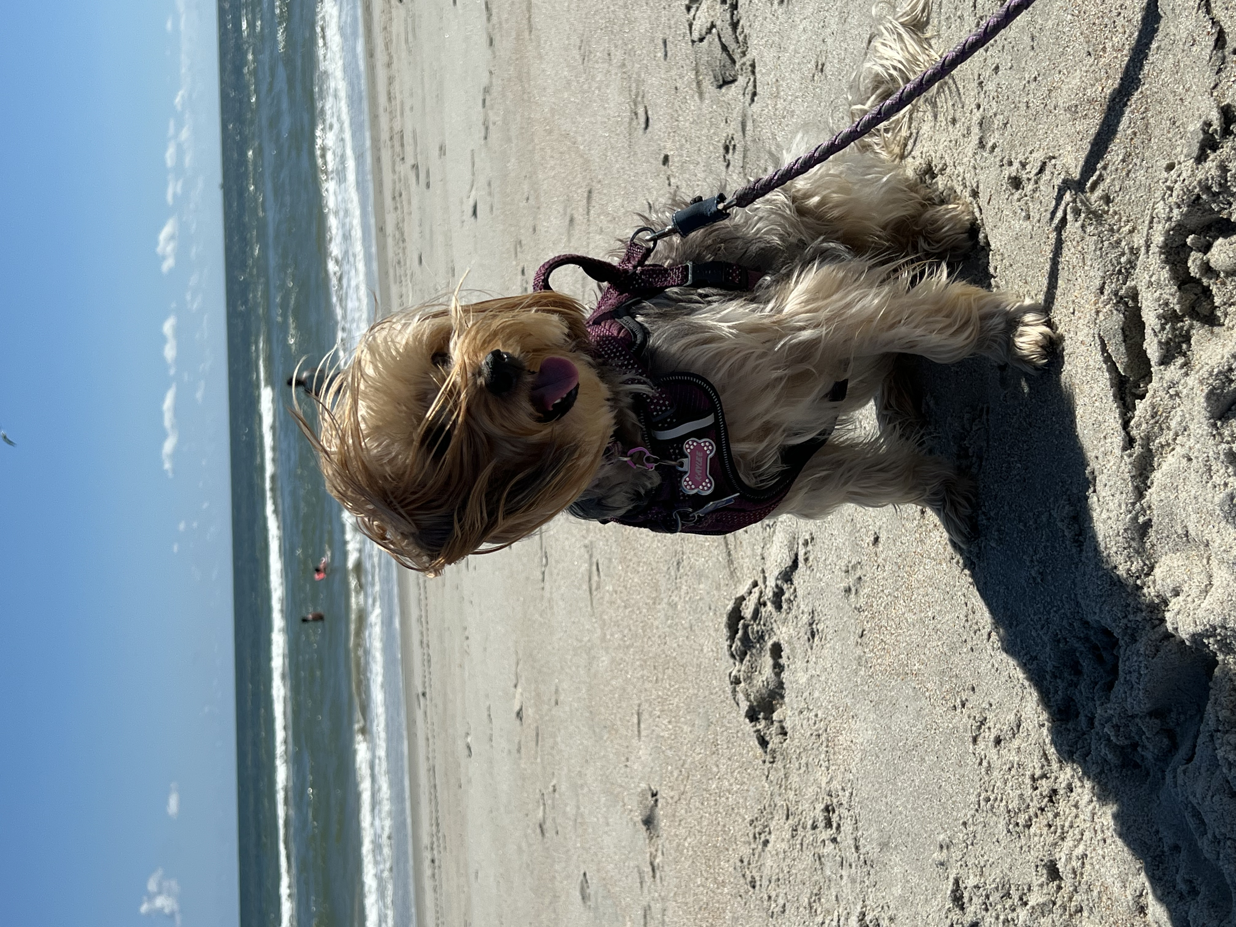 ./2024/10 - Myrtle Beach/IMG_2909.jpg